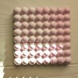 Bubble Catchall Tray