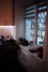A serene kitchen with a cat on the windowsill, capturing a winter sunset view.