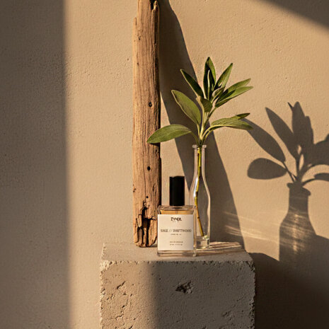 sea salt and driftwood scents sea salt and driftwood scents . Minimalist display with natural elements.
